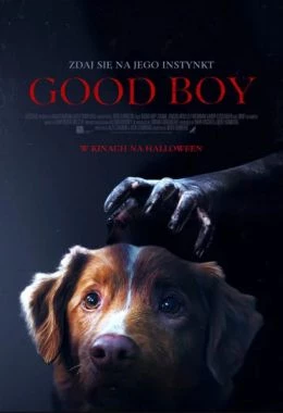 Good Boy